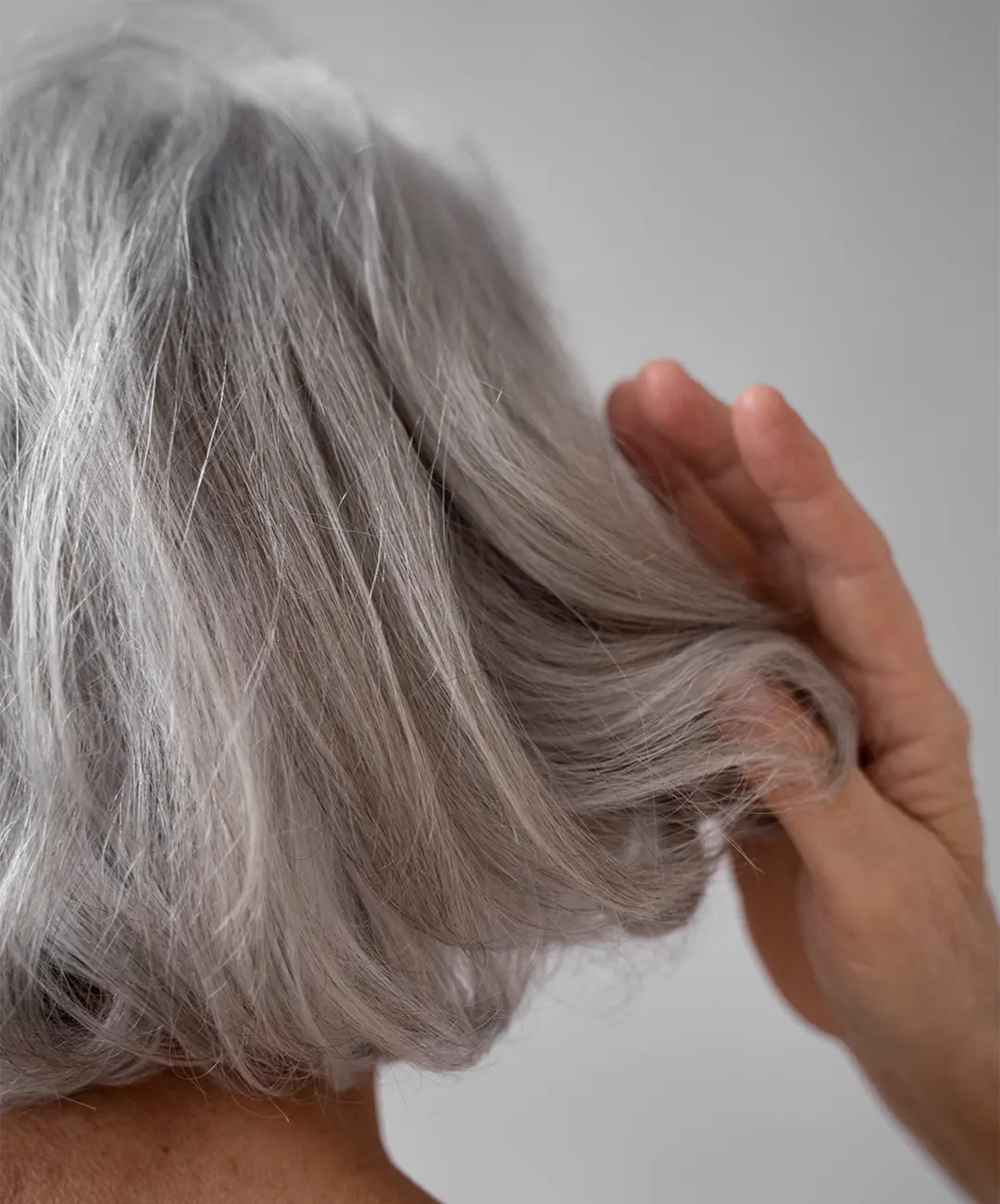 Injerto Canas Barcelona Injerto Canas Barcelona